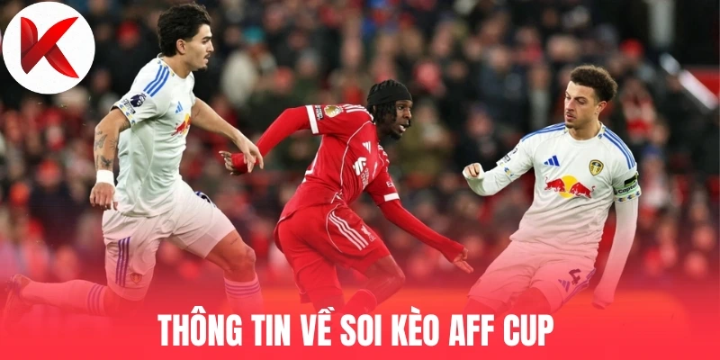 Thông tin về soi kèo Aff Cup 