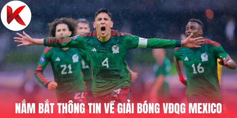 Nắm bắt thông tin về giải bóng VĐQG Mexico