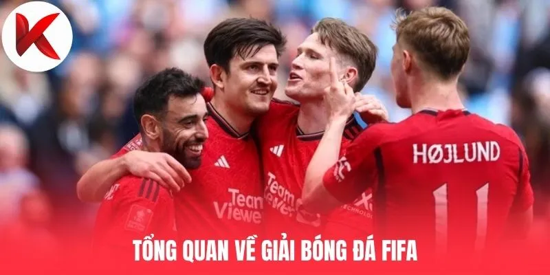 Tổng quan về giải bóng đá FIFA